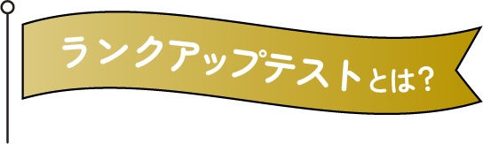 ランクアップテストとは？